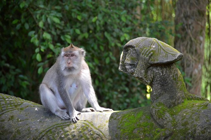 Private Tour: Ubud Day Tour with Traditional Offering Lesson - Ubud Traditional Art Market and the lesson in bargaining