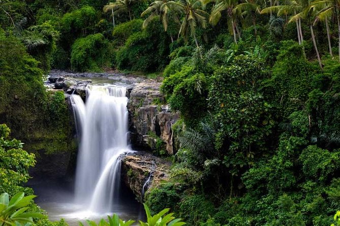 Private Tour - Ubud Kintamani Tours - What this Bali day is really trying to do