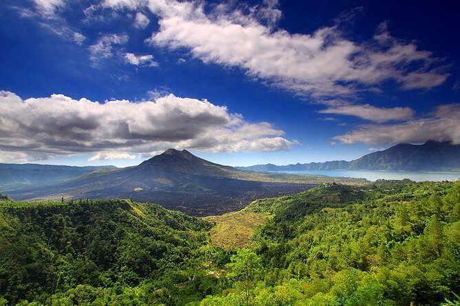 Private Tour: Waterfall, Kintamani Volcano, Ubud Tour with Lunch - Tirta Empul offers a respectful temple visit
