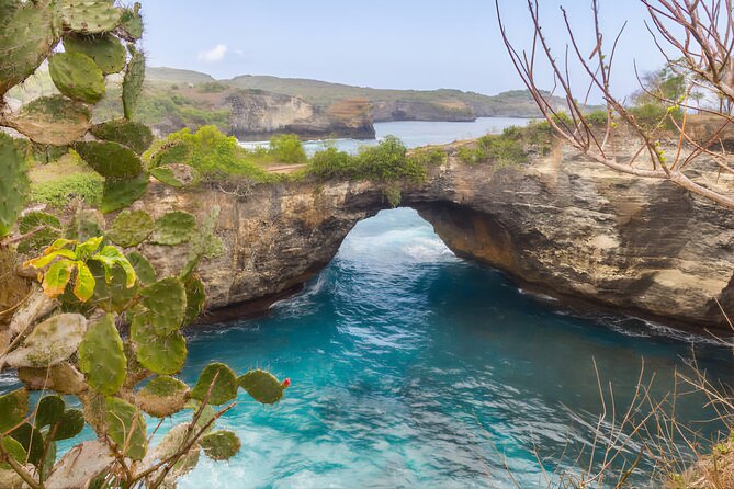 Private Tour West Nusa Penida with T-Rex Beach - Molateng Treehouse and the final photo stop