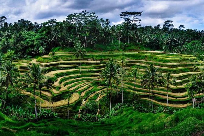 Private Ubud and Volcano Day Trip - Why the Private Format Matters on This Route