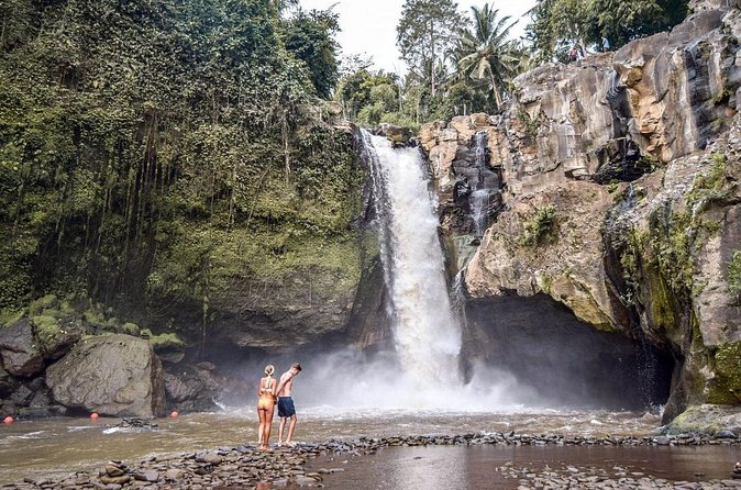 Private Ubud and Volcano Day Trip - Who Will Enjoy This Day Most?