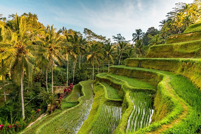 Private Ubud Day Tour - Tegenungan Waterfall, with a possible swim