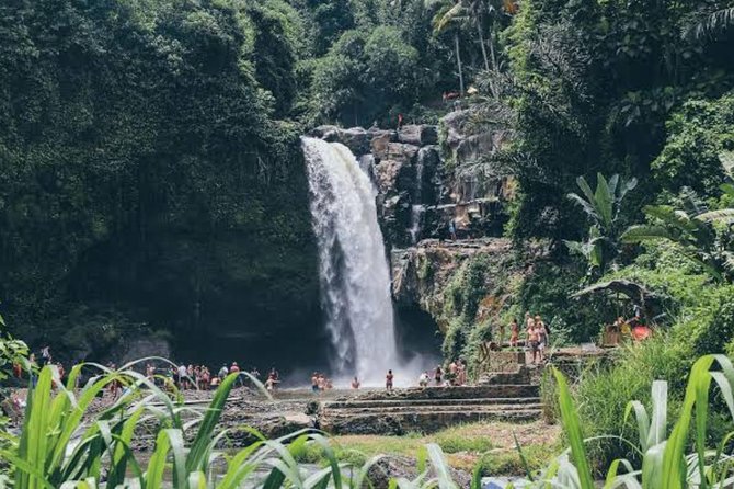 Private Ubud Day Tour - How the day balances scenery, culture, and pace