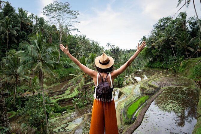 Private Ubud Day Tour Waterfalls Sacred Monkeys and Rice Fields - Key points to know before booking