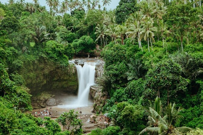 Private Ubud Day Tour Waterfalls Sacred Monkeys and Rice Fields - Tegenungan Waterfall: the day’s strongest nature stop