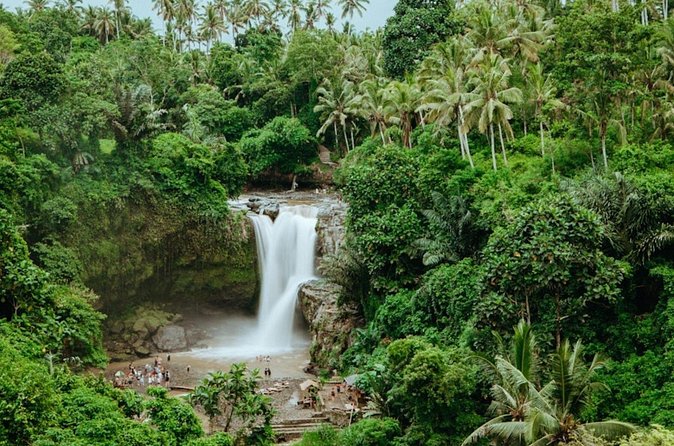 Private Ubud Day Tour Waterfalls Sacred Monkeys and Rice Fields - Tegalalang Rice Terrace: Bali’s famous farming view