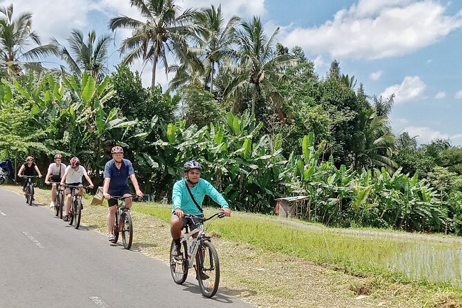 Private Ubud Downhill Cycling with Volcano, Rice Paddies & Meal - Mount Batur’s Crater Lake View