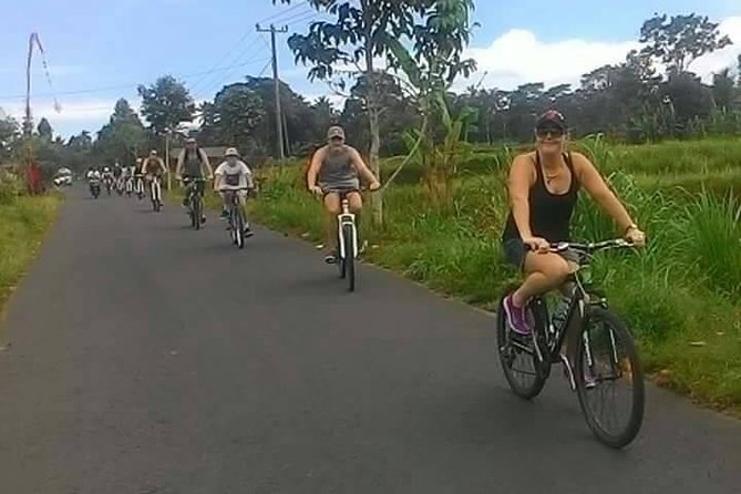 Private Ubud Downhill Cycling with Volcano, Rice Paddies & Meal - The Balinese Plantation Stop