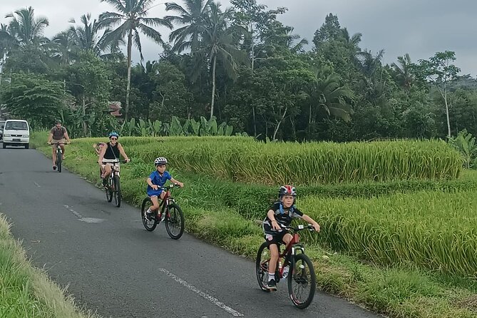Private Ubud Downhill Cycling with Volcano, Rice Paddies & Meal - Lunch Back in Ubud