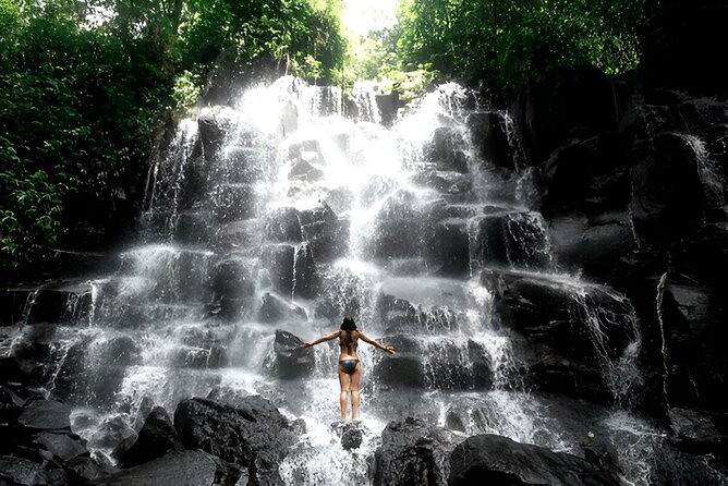 Private Ubud Instagrammable Tour - All Inclusive - What this private Ubud day is really like