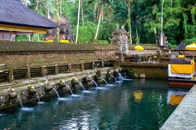 Private Ubud Tour - Why the private car changes the experience