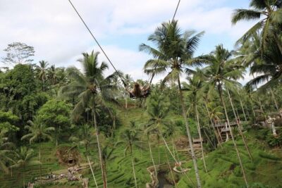 Private Ubud Tour Package