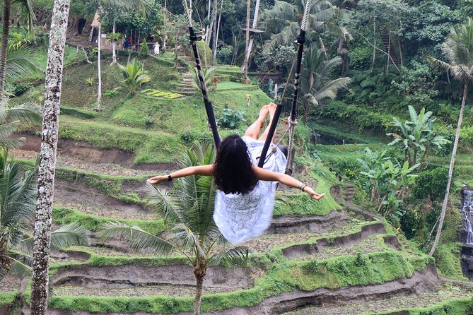 Private Ubud Tour: Waterfall, Rice Terrace & Monkey Forest - Tegalalang Rice Terrace and the optional swing