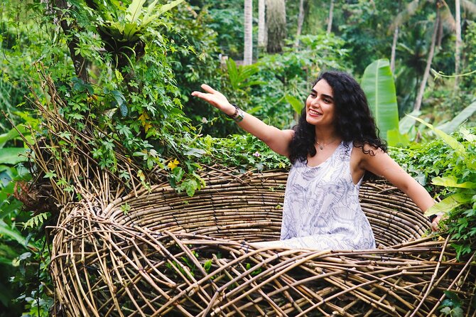 Private Ubud Tour: Waterfall, Rice Terrace & Monkey Forest - Is $39 per person good value?