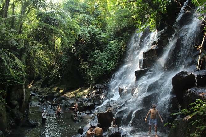 Private Waterfall Tour Feature Tukad Cepung, Tibumana and Kanto Lampo - Tukad Cepung and the walk through stone