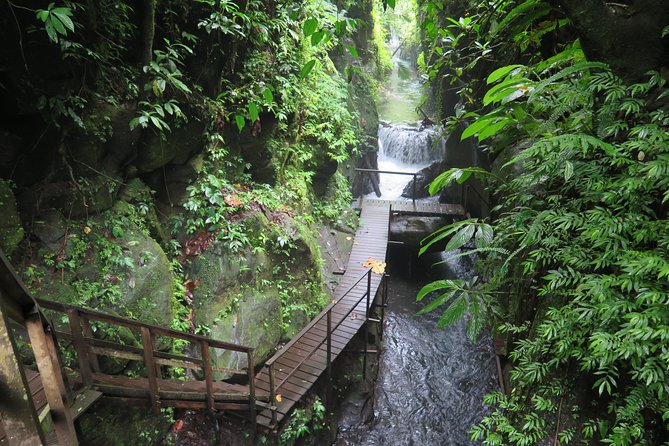Quad or Buggy Tour with Canyon Tubing Adventure in Bali - Choosing between a quad bike and buggy