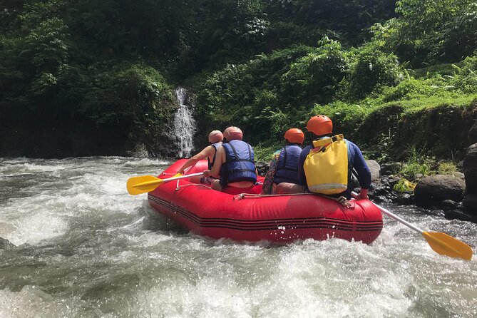 Rafting Adventure 18 km and Balinese Village Life Tour with Lunch - Changing pace in Klungkung