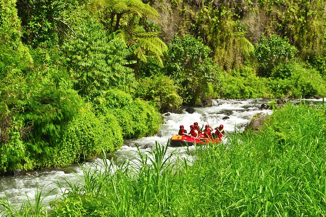 Rafting Adventure 18 km and Balinese Village Life Tour with Lunch - Lunch inside a Balinese family home