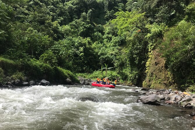 Rafting Adventure 18 km and Balinese Village Life Tour with Lunch - What the strong feedback tells you