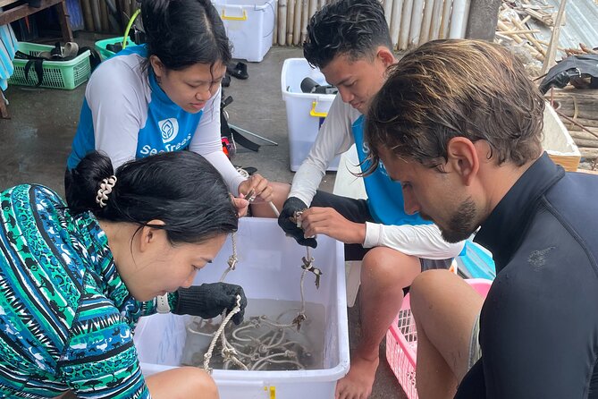 Reef Rehabilitation Course and Snorkeling - Why this Nusa Penida reef course feels different