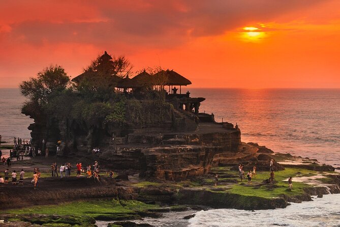 Royal Family Temple, Monkey Forest, and Tanah Lot Sunset Tour - Alas Kedaton and its resident monkeys