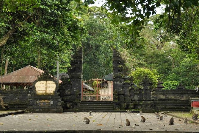 Royal Family Temple, Monkey Forest, and Tanah Lot Sunset Tour - What $44 includes, and what it does not
