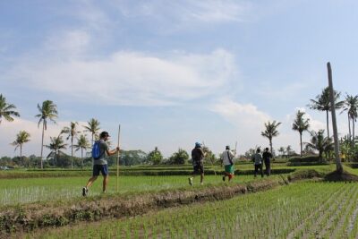 Rural Charm of Bali Tour