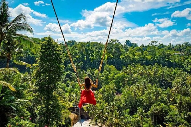 Sacred Spring Experience - Ubud Tour - Why this private Ubud day tour works for first-time visitors