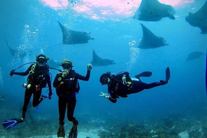 Sanur Open Water Course learn diving in 3 Days - Get certified & Dive everywhere - How the three-day course works