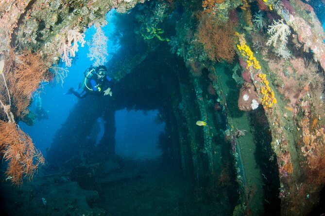 Sanur Open Water Course learn diving in 3 Days - Get certified & Dive everywhere - Who will enjoy this certification most