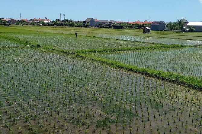 Sanur Village E-bike Tour: Family-Friendly Adventure - A traditional market and everyday Sanur