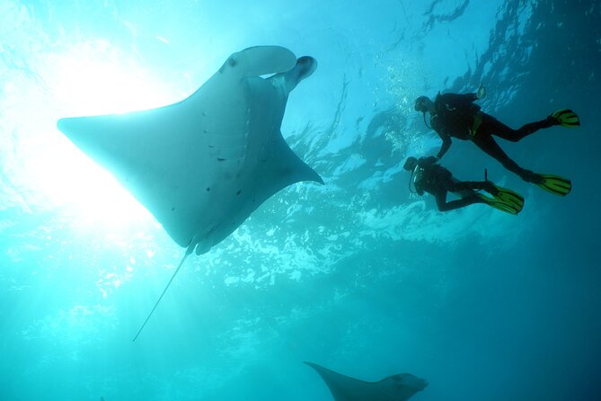 Scuba Diving Nusa Penida Manta Point 3 dives for certified divers - The early pickup and ride to Sanur