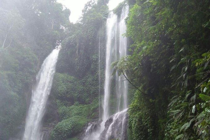 Sekumpul waterfall & aling2 waterfall with private service (including activity) - Why this North Bali day trip takes all day