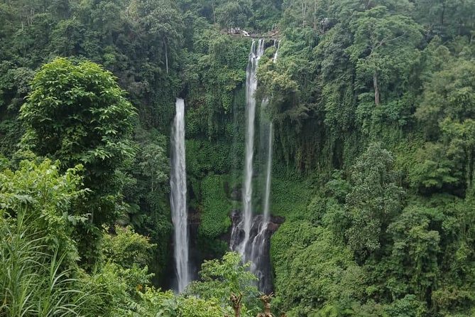 Sekumpul waterfall & aling2 waterfall with private service (including activity) - Weather, cancellation, and the practical booking decision