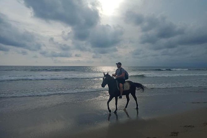 Seminyak Beach Bali Horse Riding - Safety details that deserve a direct question