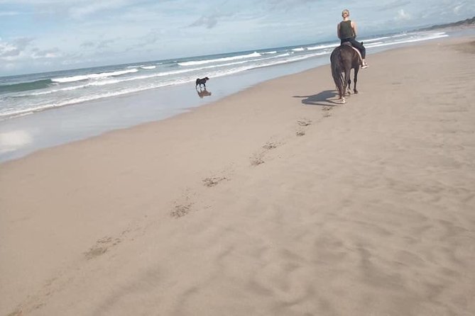Seminyak Beach Bali Horse Riding - Is $63.95 good value for one hour?