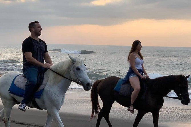 Seminyak Beach Bali Horse Riding - Getting to Mesari Stables and planning your time
