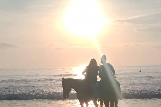 Seminyak Beach Bali Horse Riding - Who will enjoy this most?