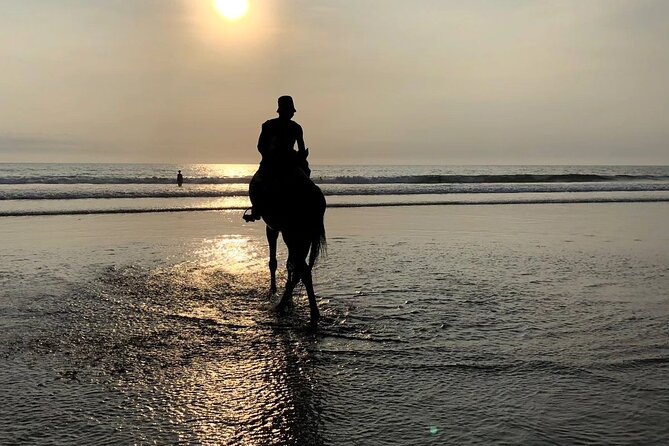 Seminyak Horse back riding In the beach - What the $44 price really buys you