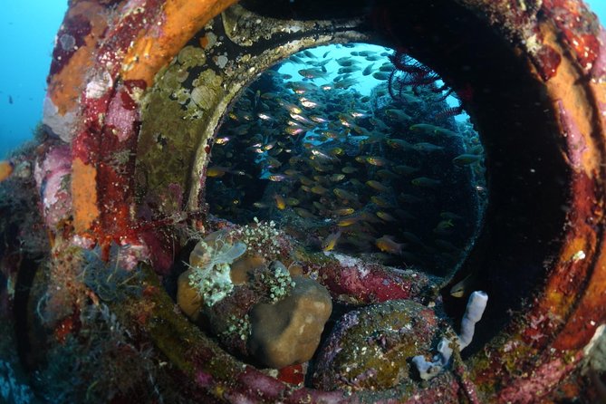 Shipwreck Diving in Tulamben - Key points to know before booking