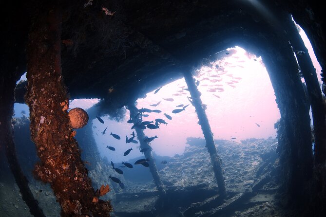 Shipwreck Diving in Tulamben - From Kuta or Sanur to Tulamben