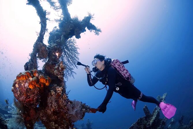 Shipwreck Diving in Tulamben - Who will get the most from this outing