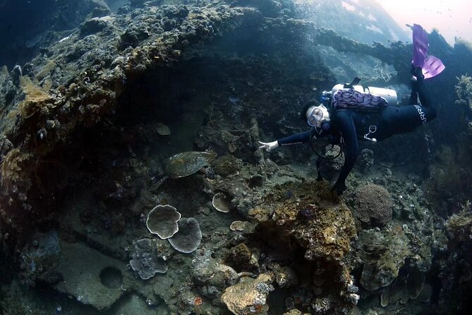 Shipwreck Diving in Tulamben - Booking details that can save trouble