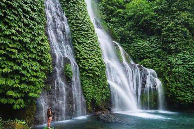 Shore Excursion Cruise Ship From Celukan Bawang Port - Banjar Hot Springs near Lovina