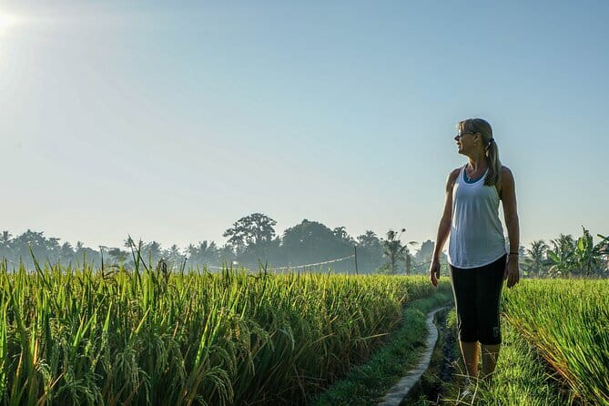 Sidemen Highlights Day Tour - Kerta Gosa and the royal past of Klungkung