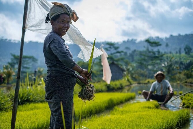 Sidemen Trekking: A Walk from a Different Perspective - Starting at Pasar Sidemen