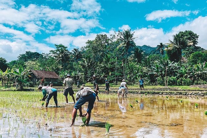 Sidemen Trekking: A Walk from a Different Perspective - Villages, temples, and everyday Bali