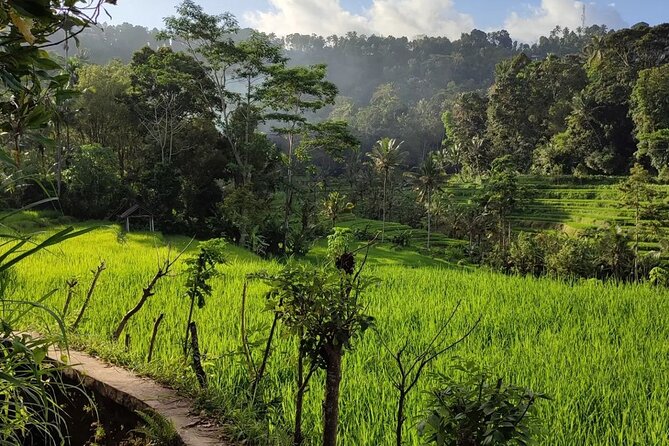Sidemen Trekking: A Walk from a Different Perspective - What the Mount Agung views are really like