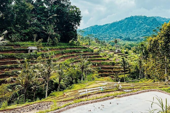 Sidemen Trekking: A Walk from a Different Perspective - Following the irrigation channels